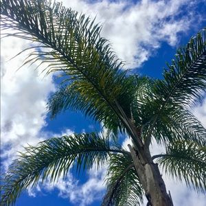 Meet your Posher, Suzanne